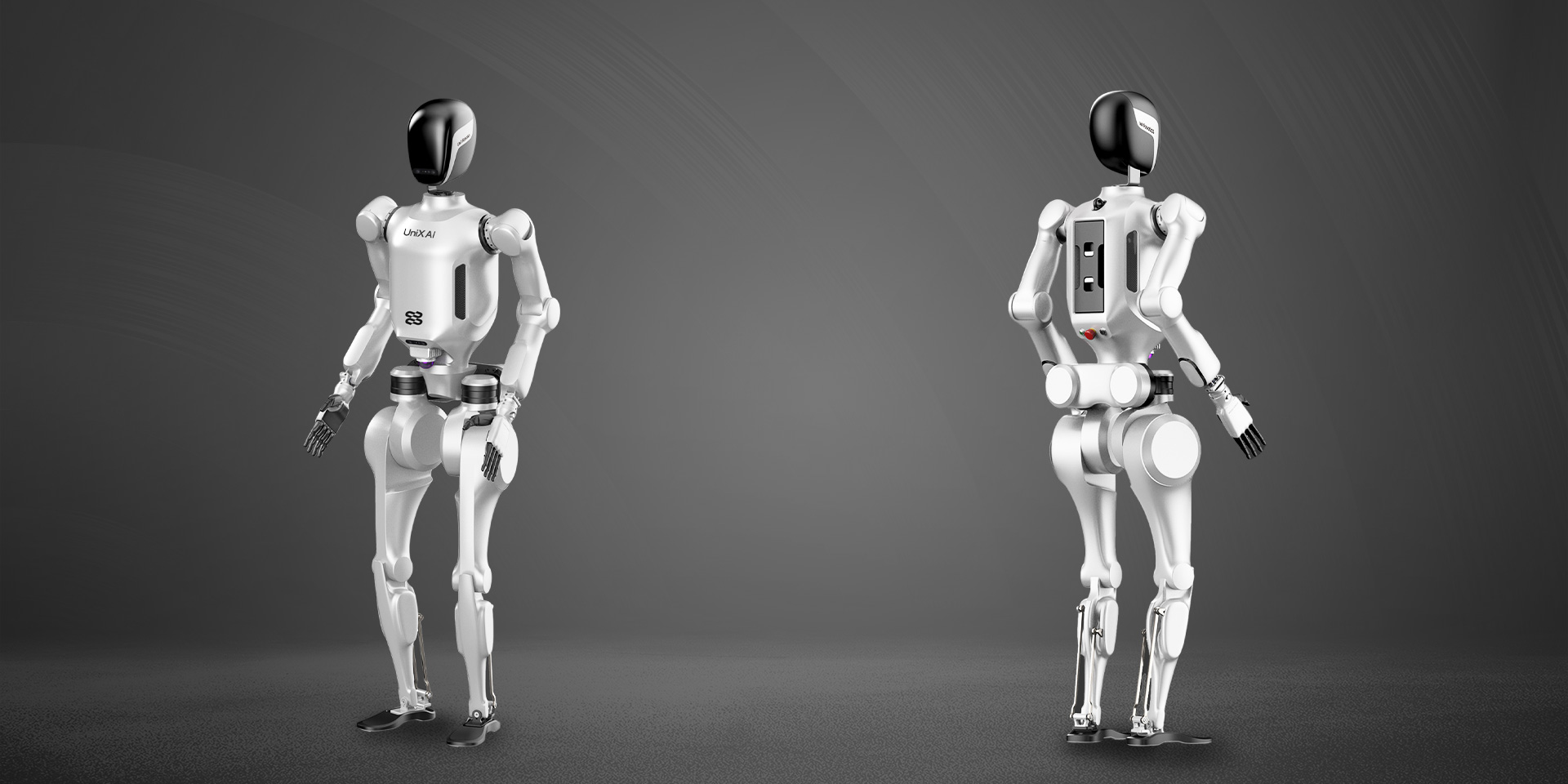 Martian robot